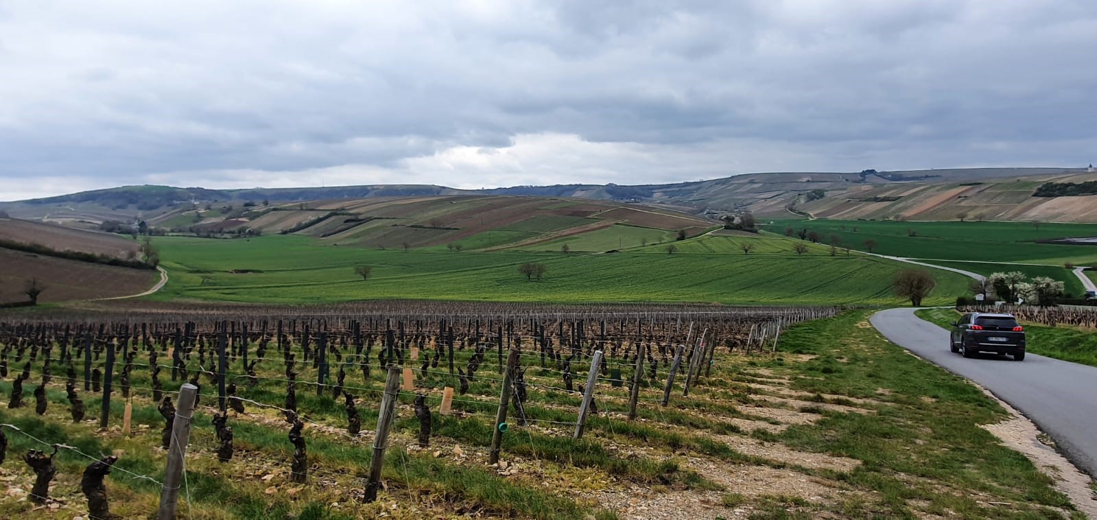 Vinmarker i Bourgogne